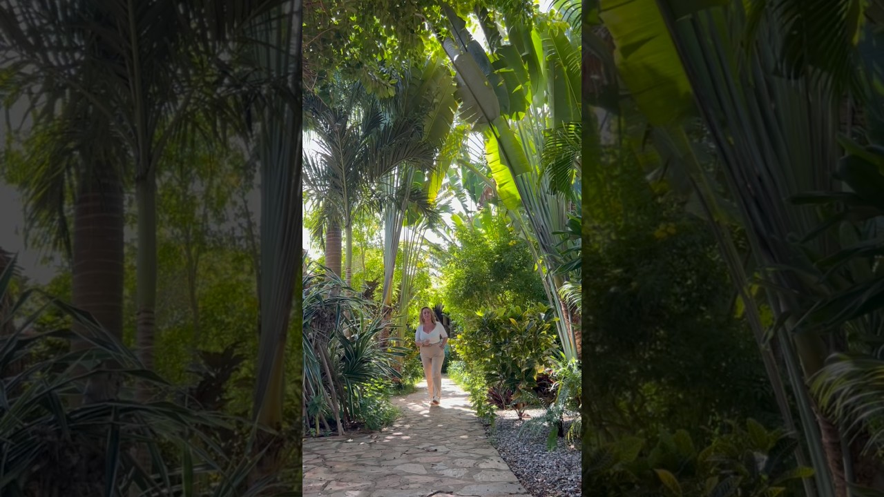 Jardines Tropicales & Piscinas Naturales para lo que NO es un hotel 🤣😇.