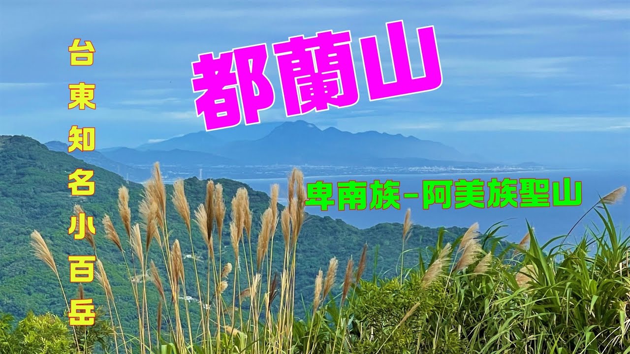 都蘭山(台東知名小百岳2022-11-30)生態豐富林相優美
