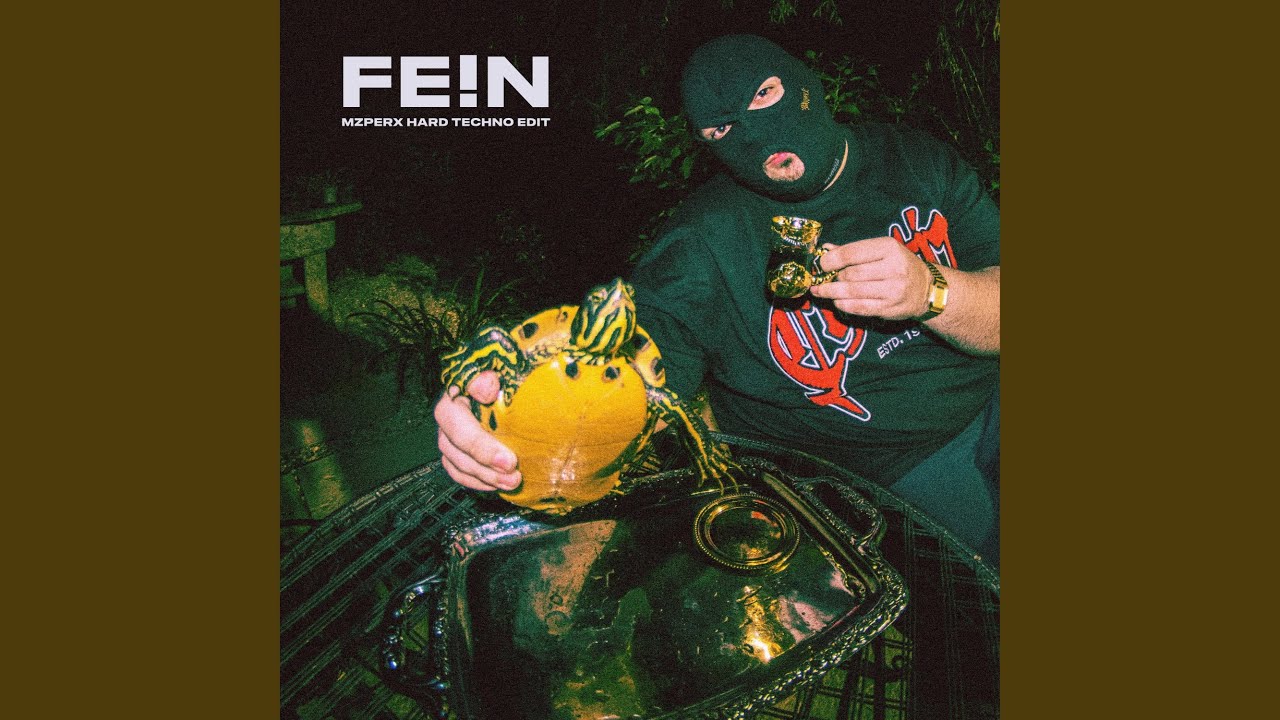FE!N (Hard Techno Edit)