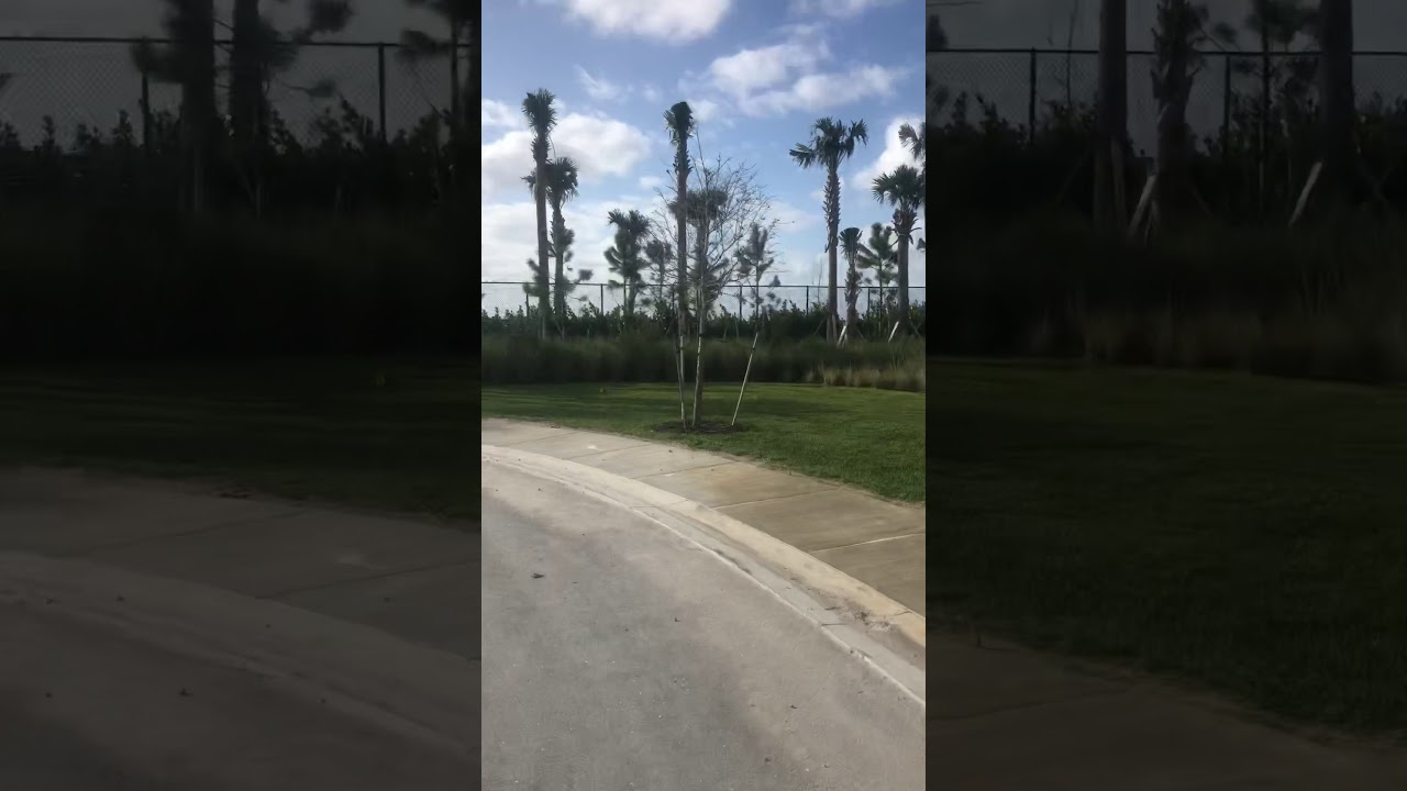 Avenir Homes Ancient Tree Property Line