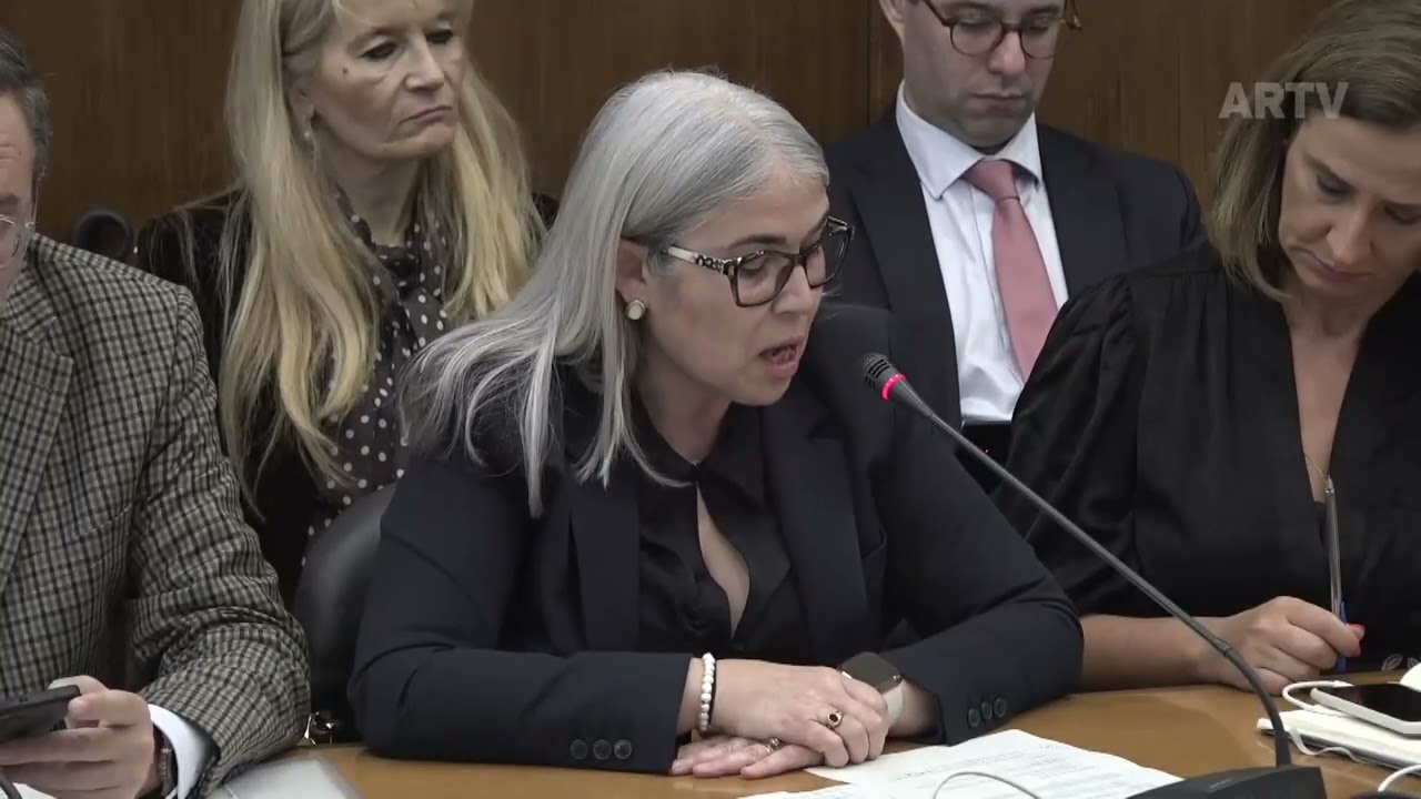 Intervenção de Helga Correia na Comissão de Trabalho