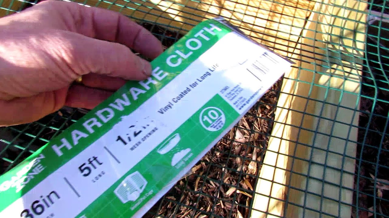 Managing Voles, Squirrels, Rabbits & Other Digging Critters in Your Garden without Poisons: Revised!
