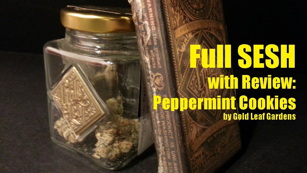 Peppermint Cookies 2019 marijuana strain review, Gold Leaf Gardens; Seattle Bliss