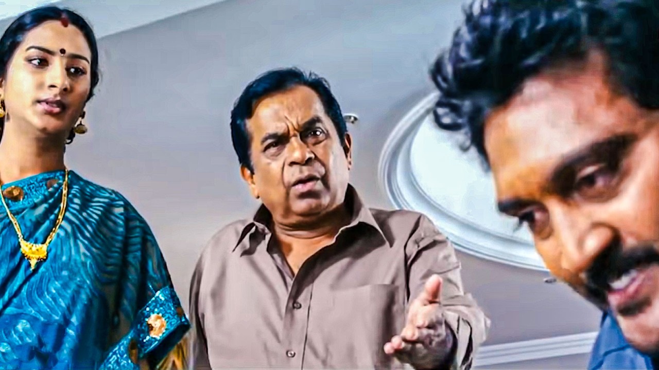 Brahmanandam Comedy | Telugu Back to Back Comedy Scenes | iDream
