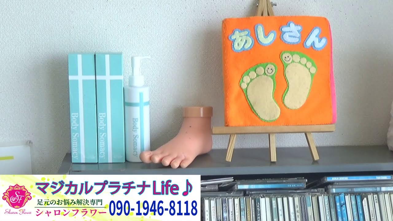 2026年 2月12日(木) マジカルプラチナライフ♪