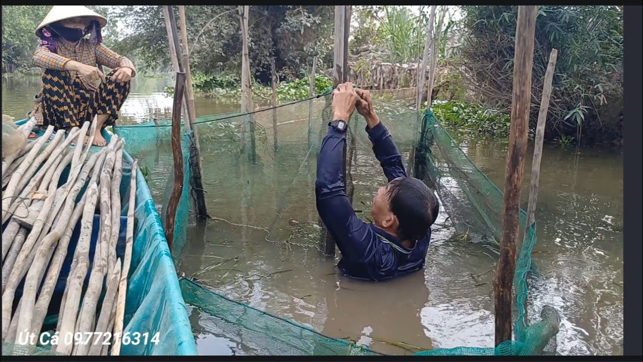 chia sẻ cách đặt sớn trên sông rất chạy