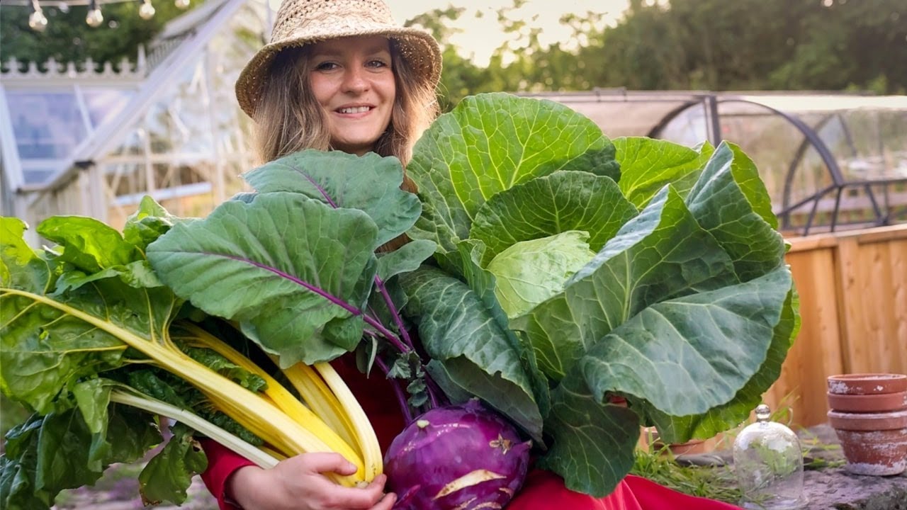 So startest du deinen 3h/Woche Selbstversorger-Garten