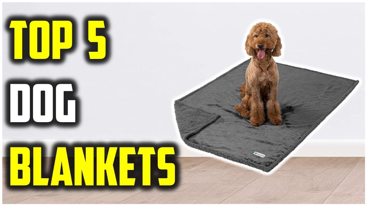 Top 5 Best Dog Blankets of 2026 | Tested the Best Waterproof Dog Blankets!