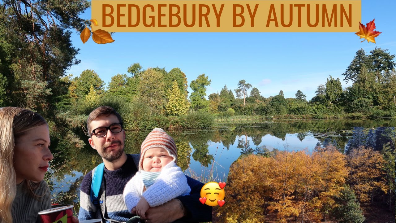 Bedgebury Forest Autumn Day Out | Autumn Colours At Bedgebury Pinetum | Bedgebury 2020