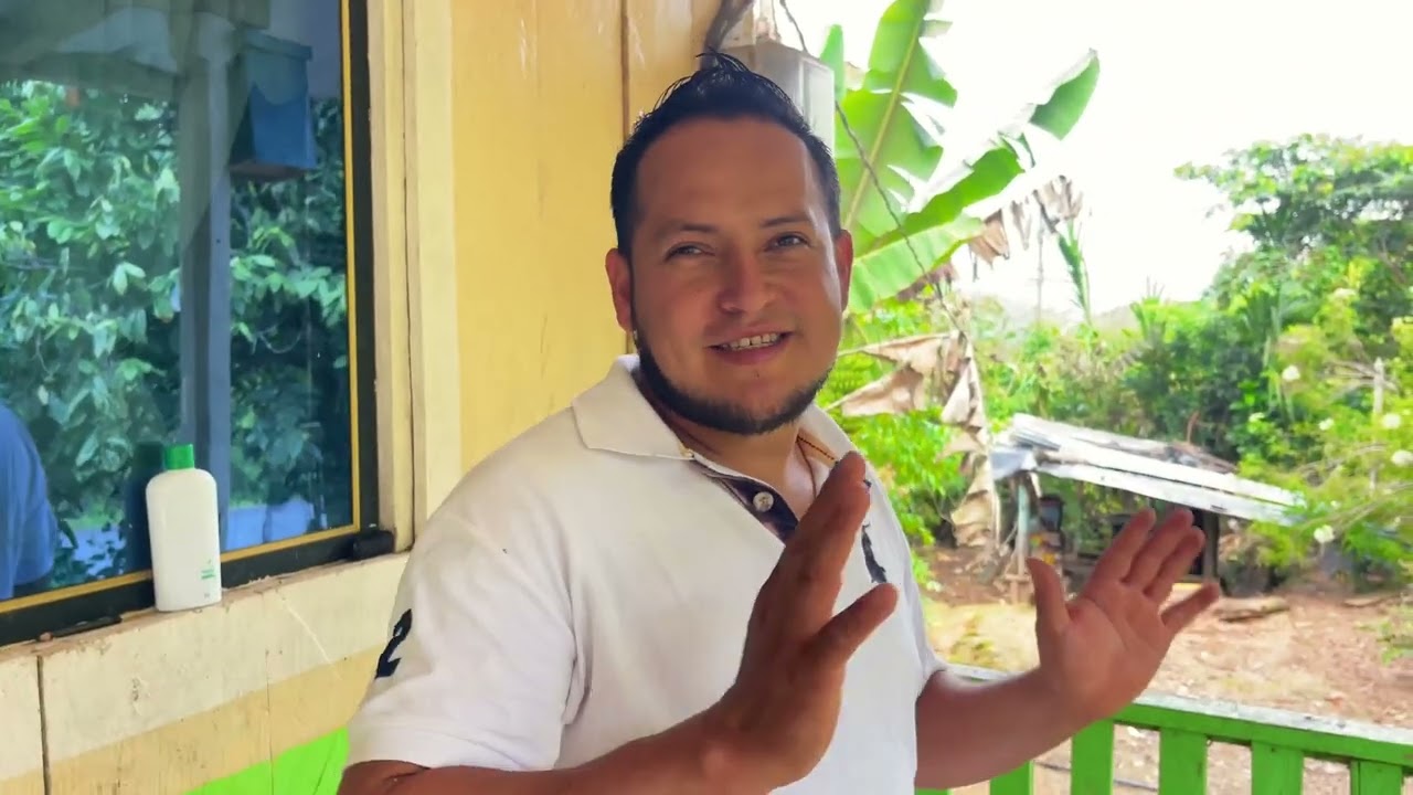 Estoy asombrado por el avance de estas COLMENAS DE ANGELITAS 😲🐝