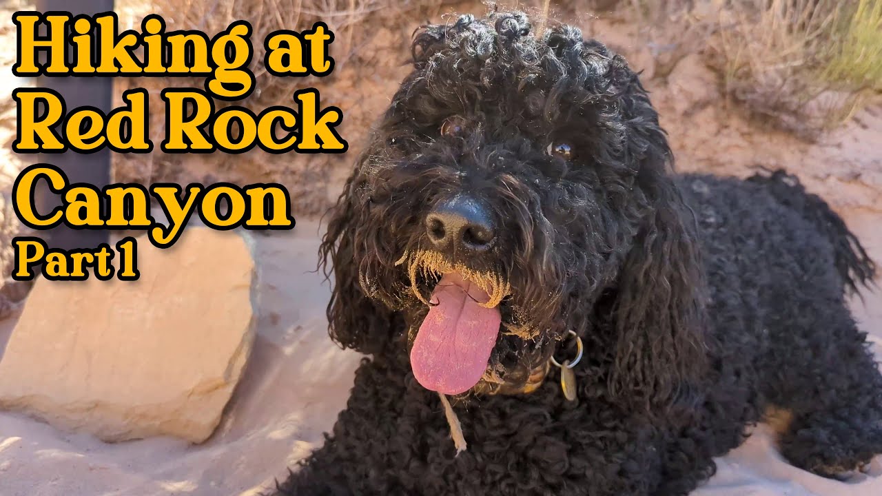 Hiking at Red Rock Canyon - part 1