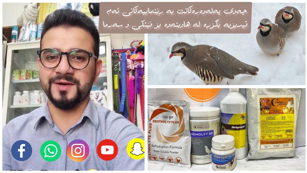 بۆ باڵندەکان، چۆن مامەڵە بکەین لەگەل ئەم گەرما زۆرەدا؟ How to deal with Heat exhaustion in poultry?
