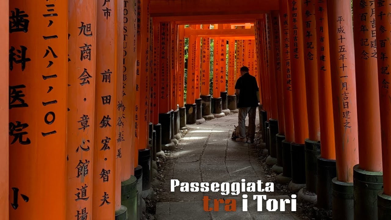 Passeggiata tra i Tori di Kyoto