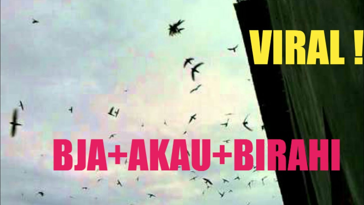 SP  BJA+AKAU+BIRAHI