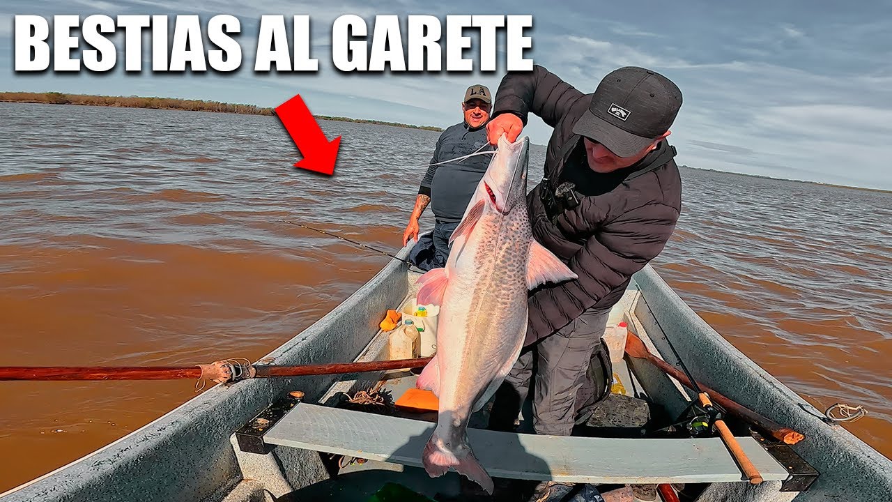 MUCHOS PATIES!, pescamos al garete! increíble la cantidad de pescado en esta zona de Fighiera