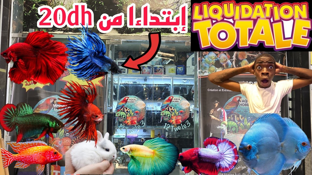 الجديد عند سفيان🔥الكونباطو إبتداءا من 20dh برومو فالأسماك أجيو نتولعو وتستافدو إن شاء الله 