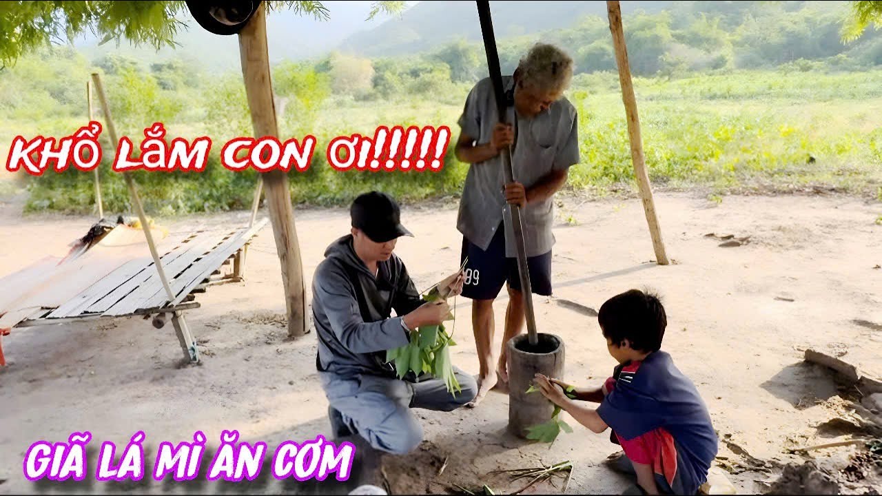 KHỔ LẮM...Cả gia đình nghèo sống trong RỪNG SÂU hái LÁ MÌ ăn CƠM../592