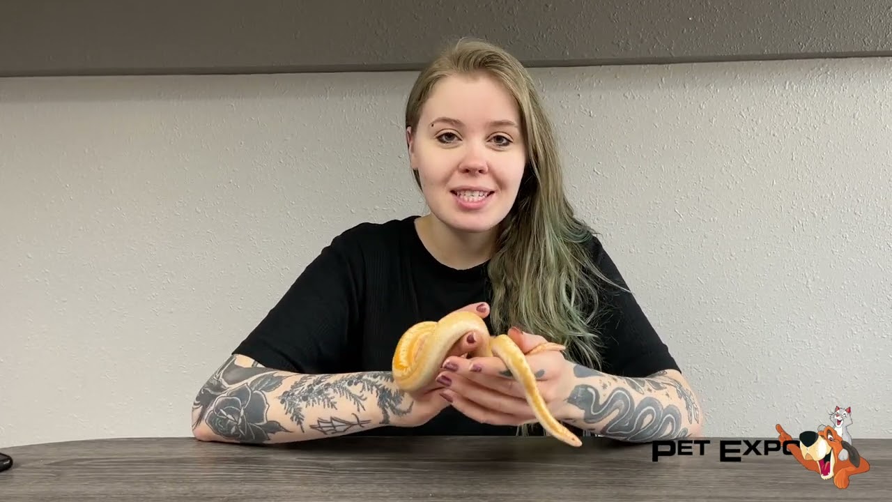 Snakes with Samantha featuring a Rosy Boa!