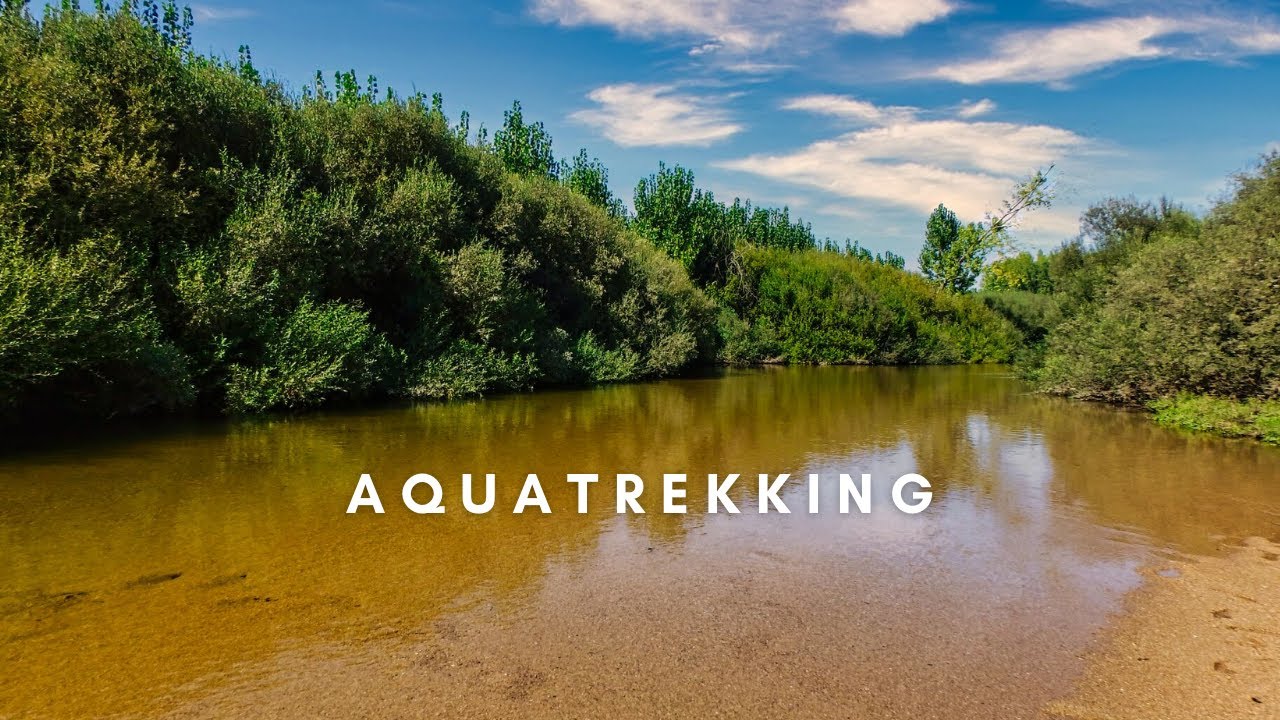 Aquatreeking