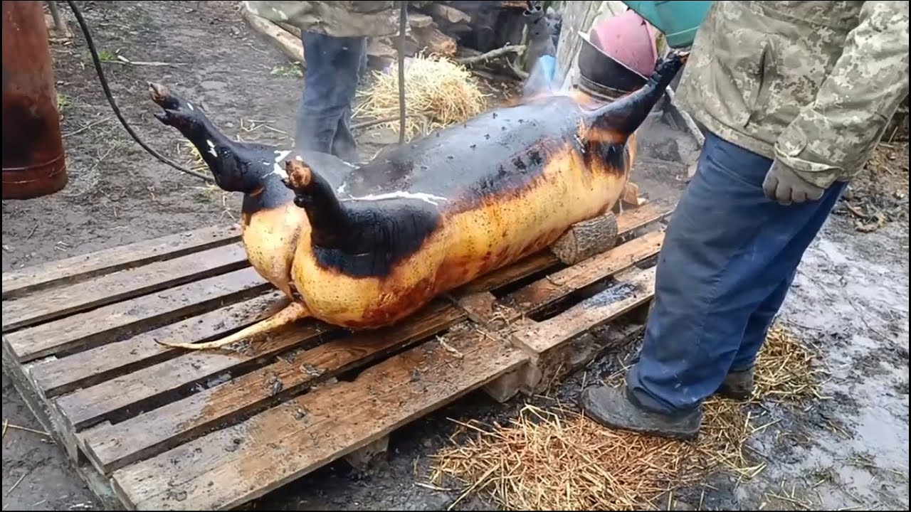Свято наближається.