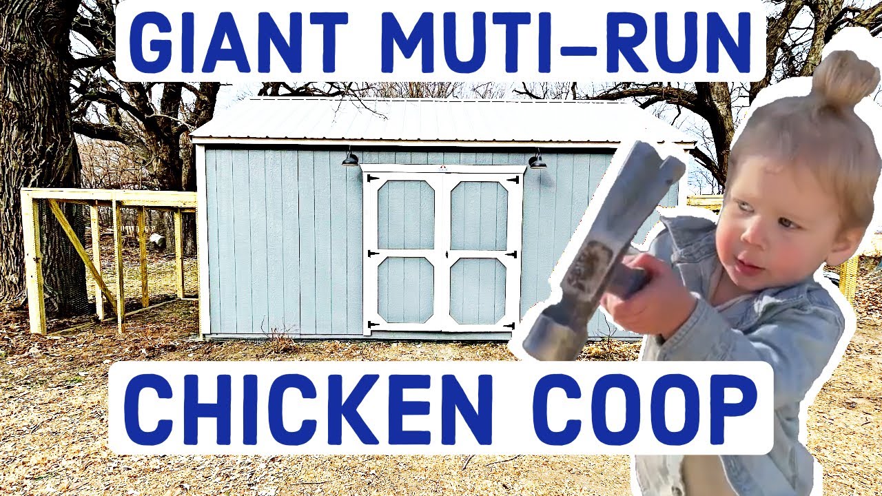 Giant Multi-Run CHICKEN COOP | 650 sq ft