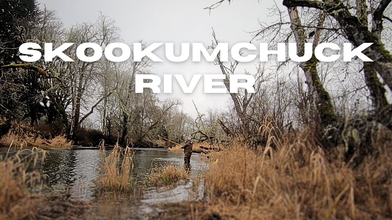 Exploring A New River For Winter Steelhead | Western Washington 2025