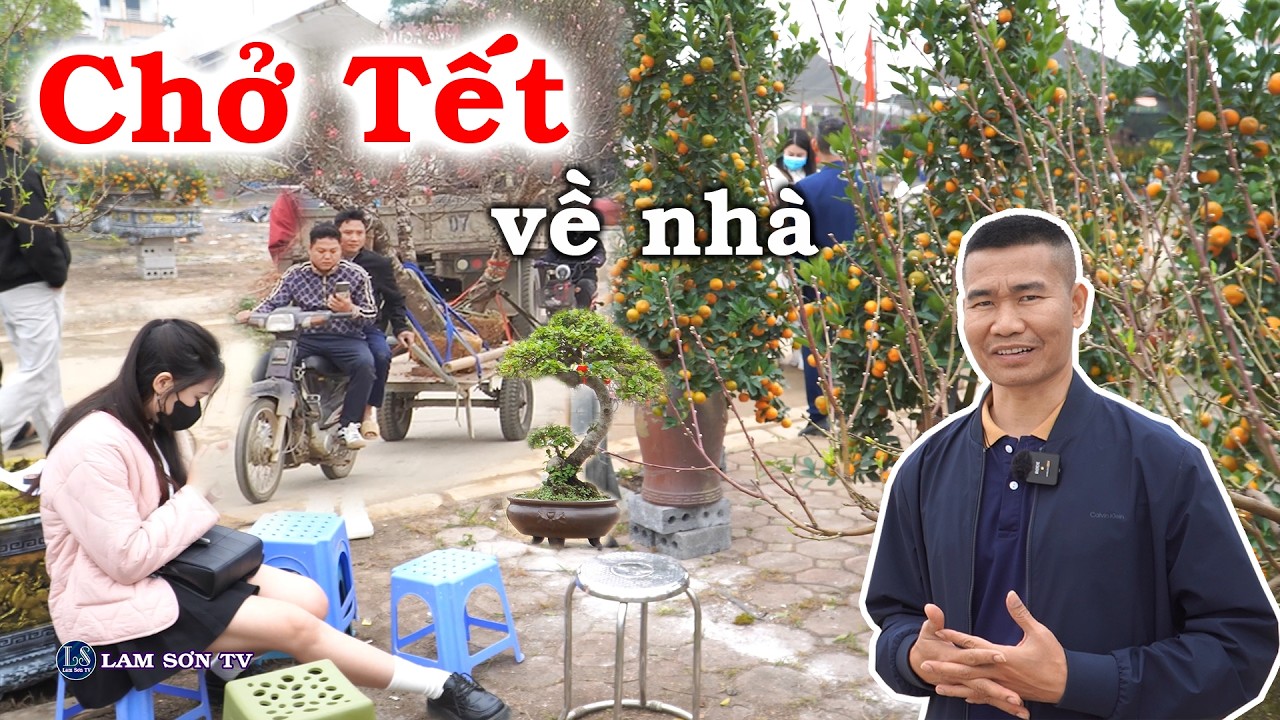 Chợ hoa xuân Phú Nghĩa, rộn ràng mua sắm đào, quất Tết | LAM SƠN TV