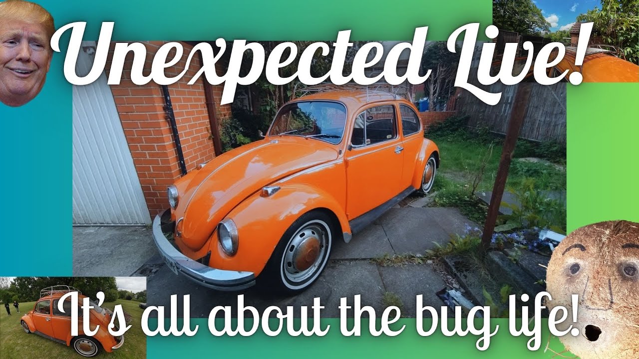 Beetle name reveal!! Unexpected SUNDAY Live!!!