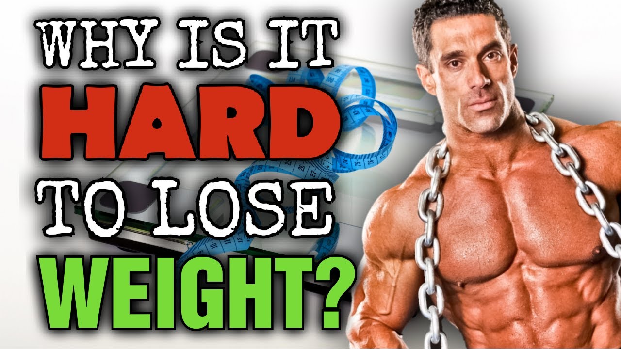 WHY IS IT HARD TO LOSE WEIGHT???