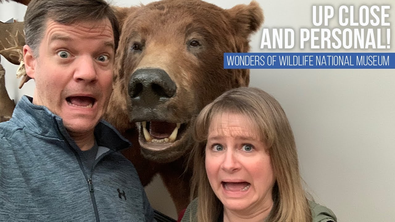 Wonders of Wildlife National Museum Tour 2020 // Bass Pro Shops // Springfield, MO [EP 46]