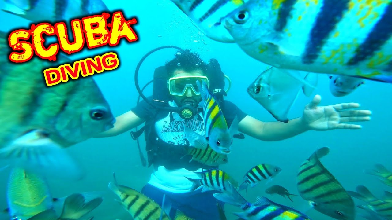 खतरनाक Scuba Diving 😱 World's Tallest Stachu शिवाजी महाराजांचं उंच स्मारक ❤️ Malvan Dairies 