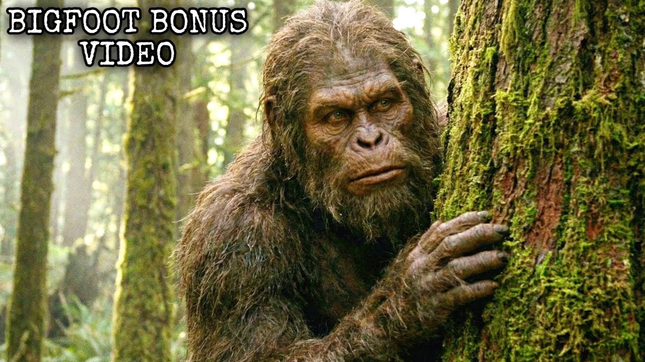 1 Hour of the Best New Bigfoot Footage! *BONUS COMPILATION*