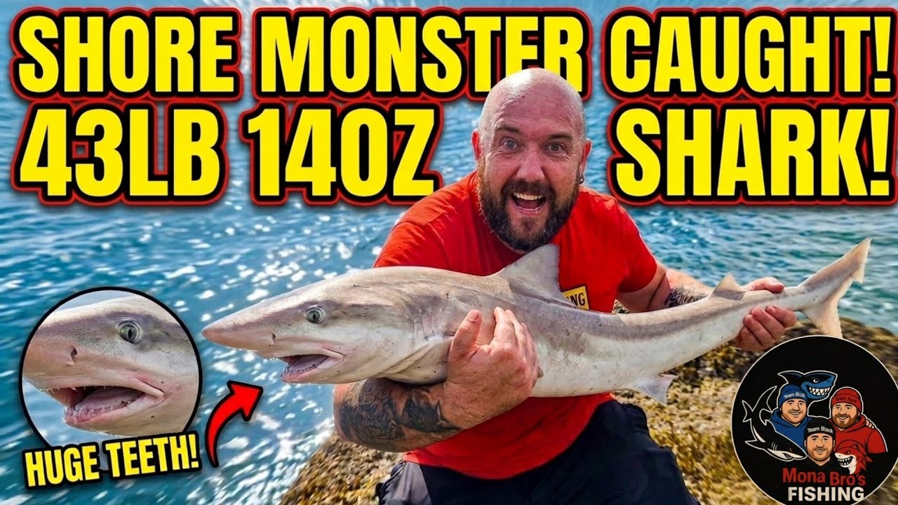 BIG BAIT = BIG FISH! Epic Anglesey Sea Fishing UK 🎣