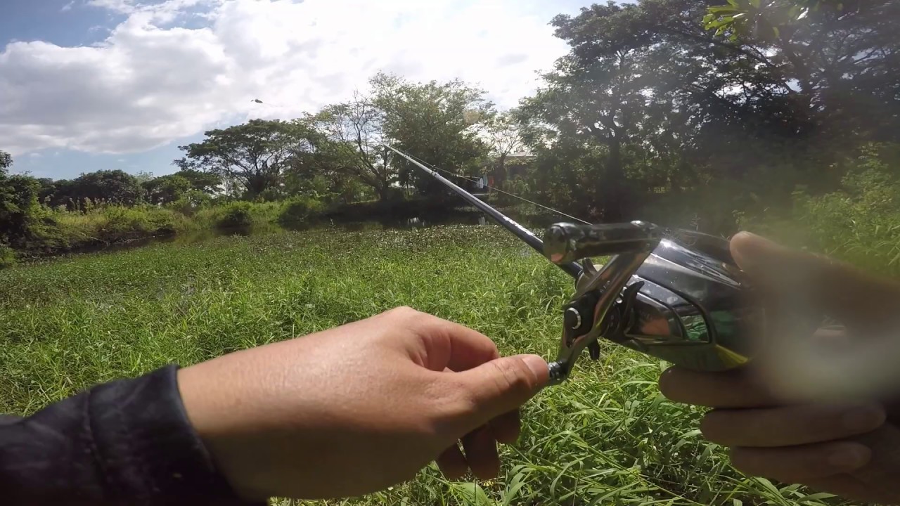 street fishing