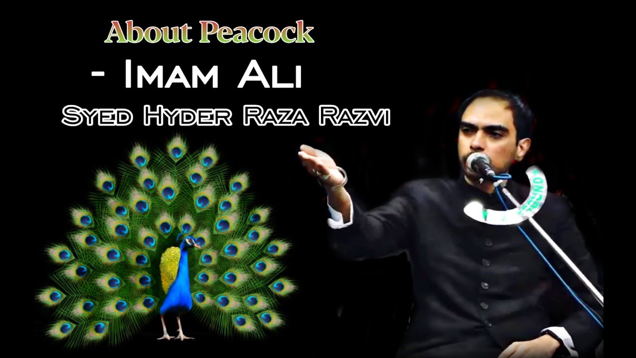 About Peacock - Imam Ali | Syed Hyder Raza Razvi | 14 Stars
