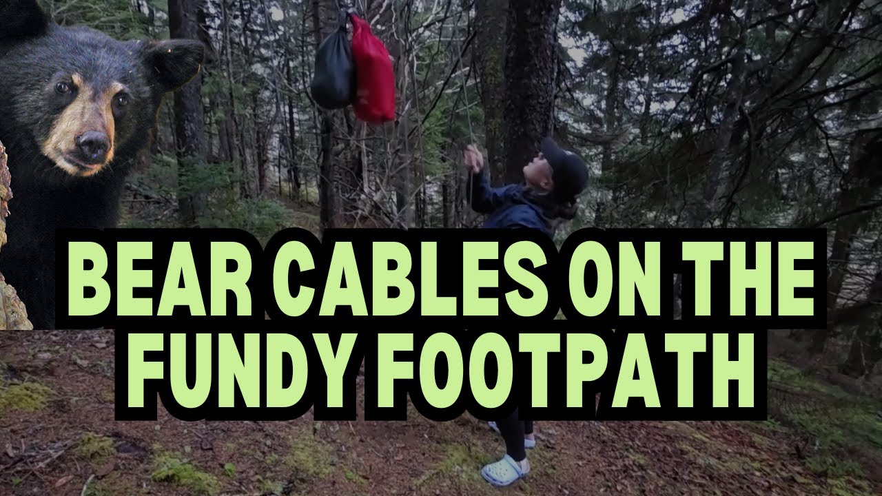 Hiking the Fundy Footpath and Solving the Food Cable Mystery!