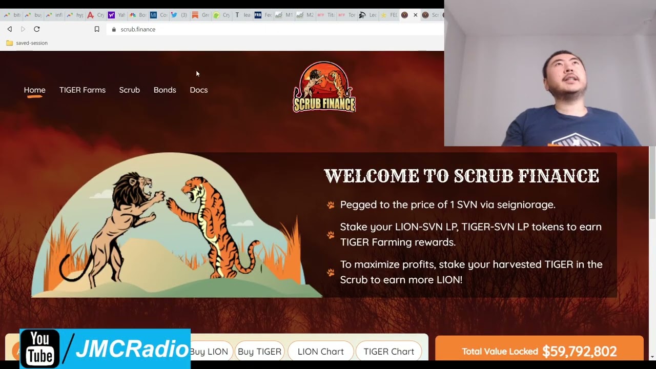 Scrub Finance %9 - %13 Daily Apr Cronos Cro Tomb Fork Earn Passive Income Online Defi Yield Farming
