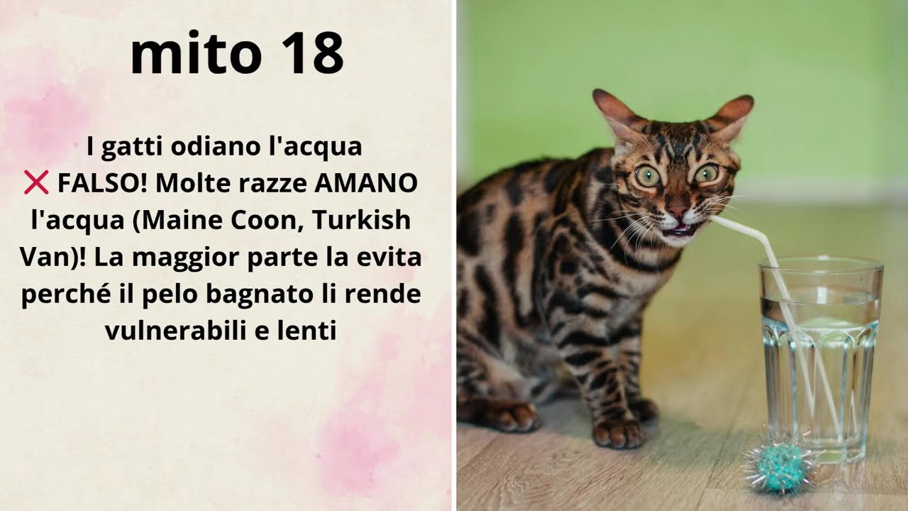50 miti sfatati sugli animali