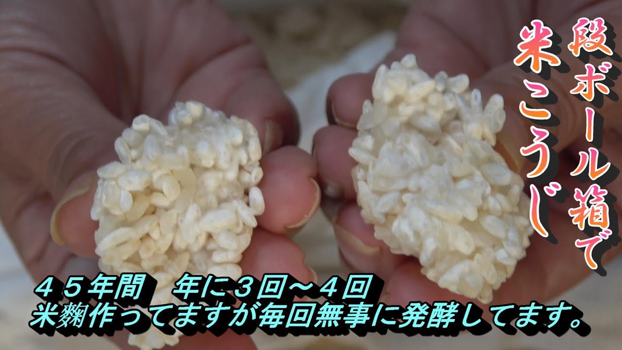 【米麹】の作り方　一年中いつでも作れる【米こうじ】