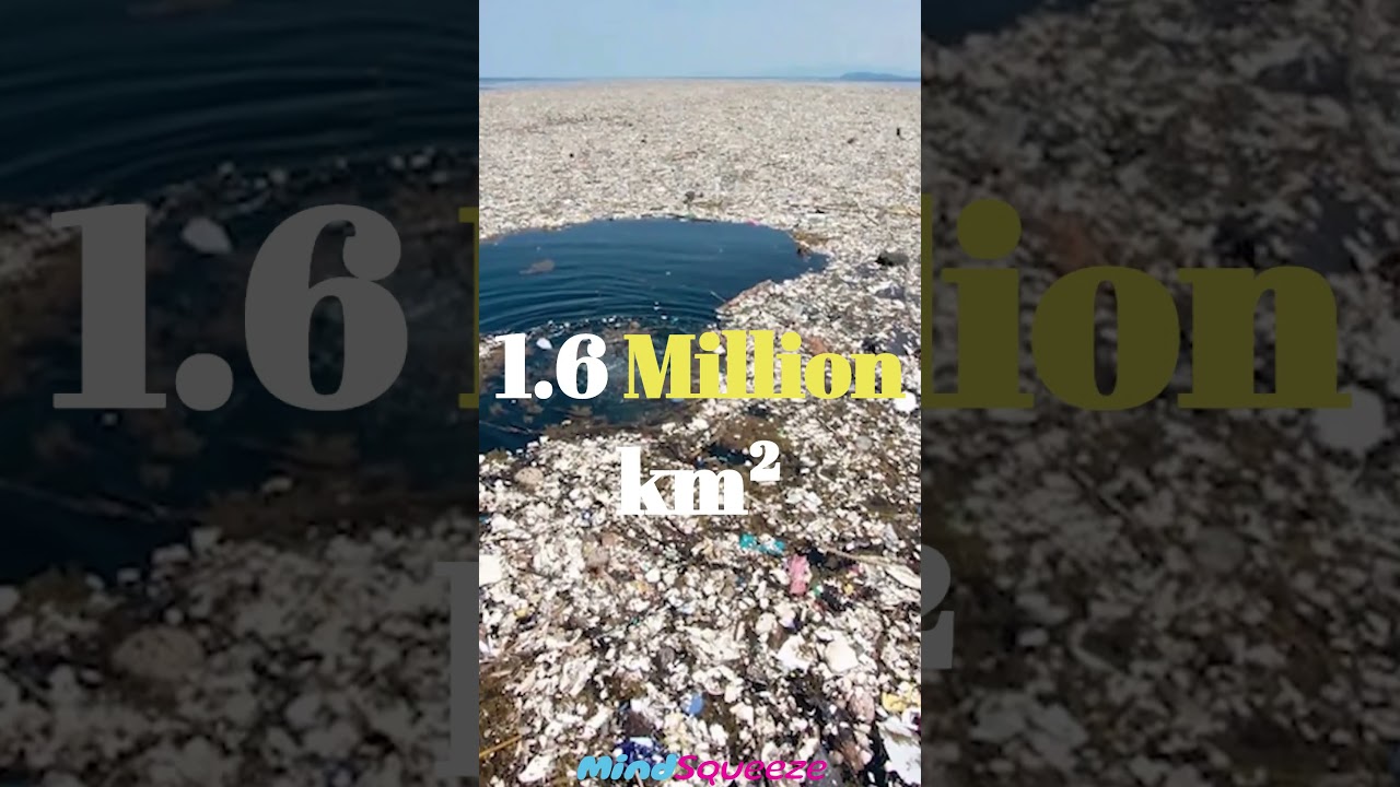 The Pacific Garbage Patch #shorts