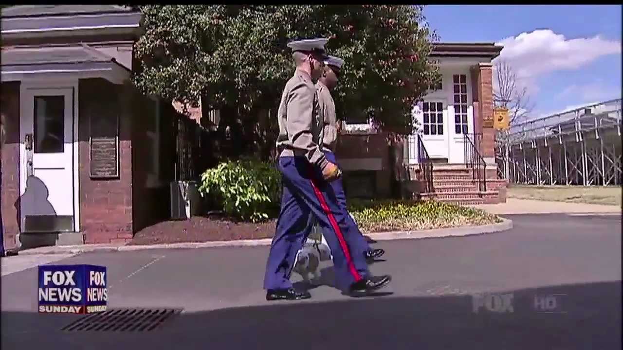 Power Player of the Week - Marine Corps Mascot Sergeant Chesty