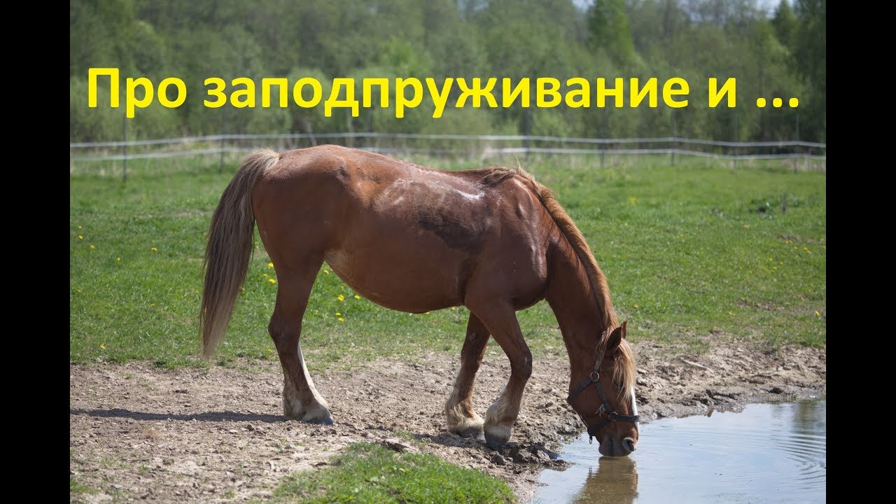 Заподпруживание. Когда и почему это происходит.