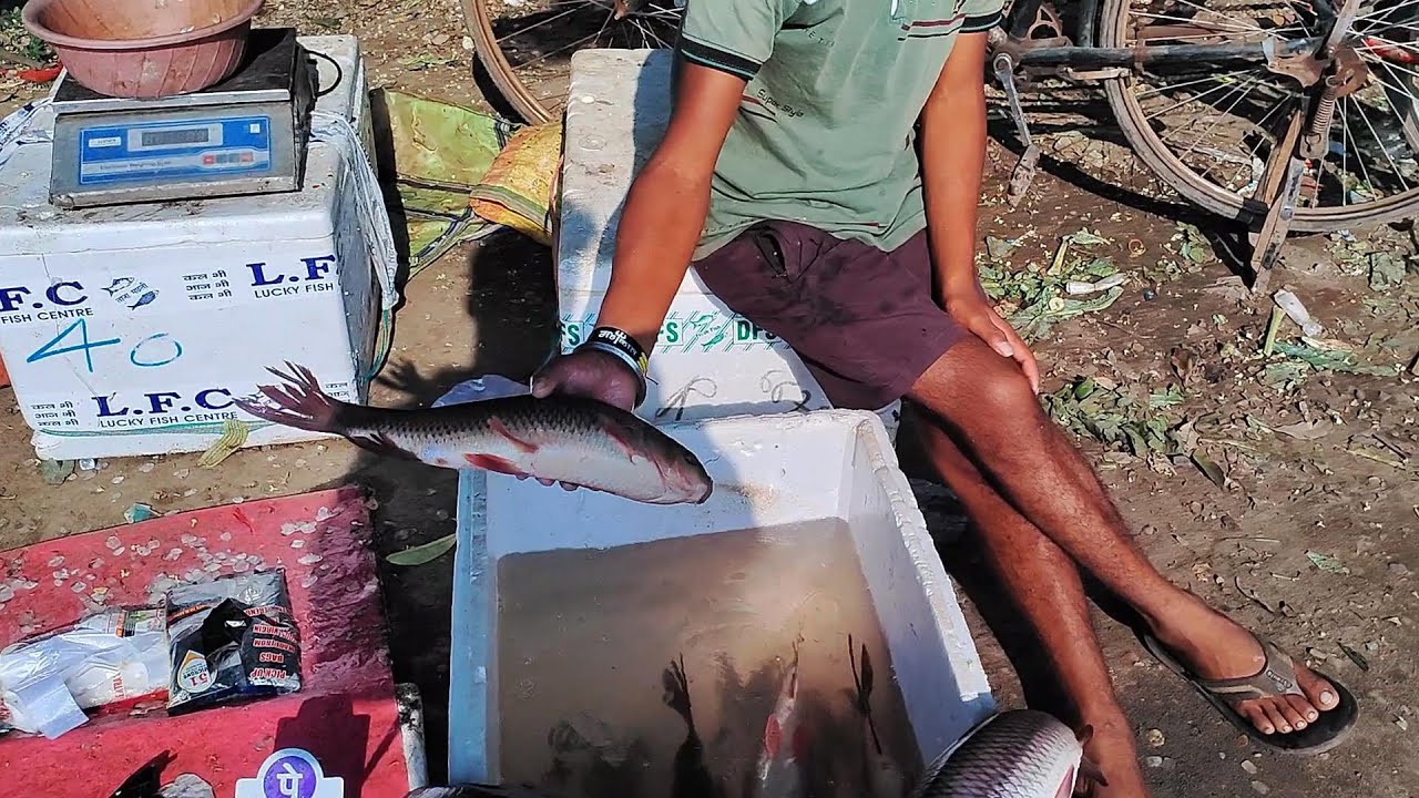 Sector-5 Fish Market Bokaro Khortha Vlog Video | Fish Market Bokaro Jharkhand | Khortha Vlogger