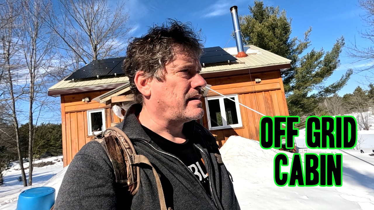 Back to the Off Grid Cabin