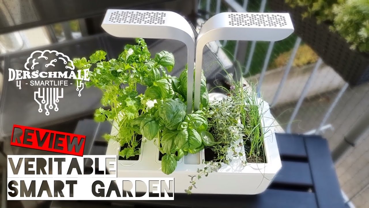 Véritable Garden 🌱 Smarter Indoor-Garden | Meinung nach 8 Wochen