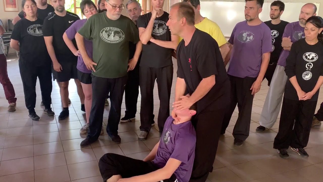 Principle of application training in Chile 2019 with Master Jan Silberstorff