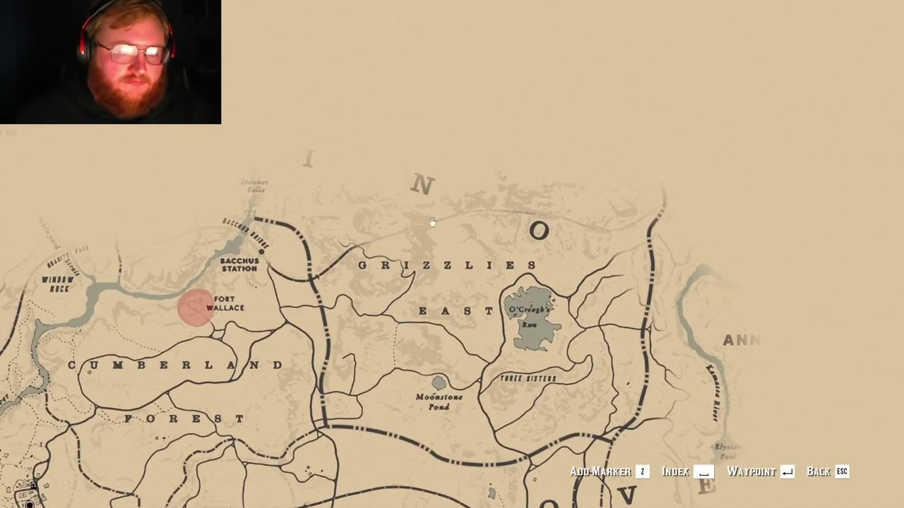 HOPELESS: Some Red Dead II