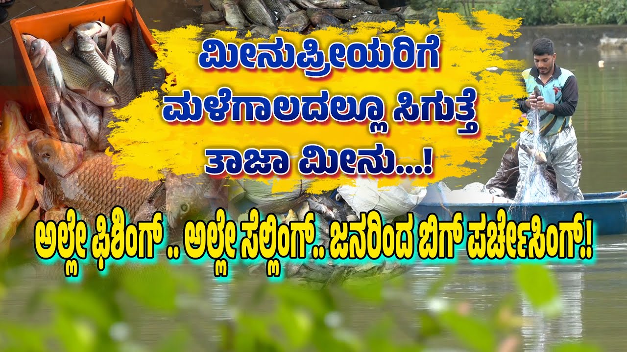 ಮೀನುಪ್ರೀಯರಿಗೆ ಮಳೆಗಾಲದಲ್ಲೂ ಸಿಗುತ್ತೆ ತಾಜಾ ಮೀನು...! ಒಂದಕ್ಕಿಂತ ಒಂದು ಬಿಗ್‌ ಸೈಝ್‌ ಮೀನು...ಫುಲ್ ಡಿಮ್ಯಾಂಡ್‌.!