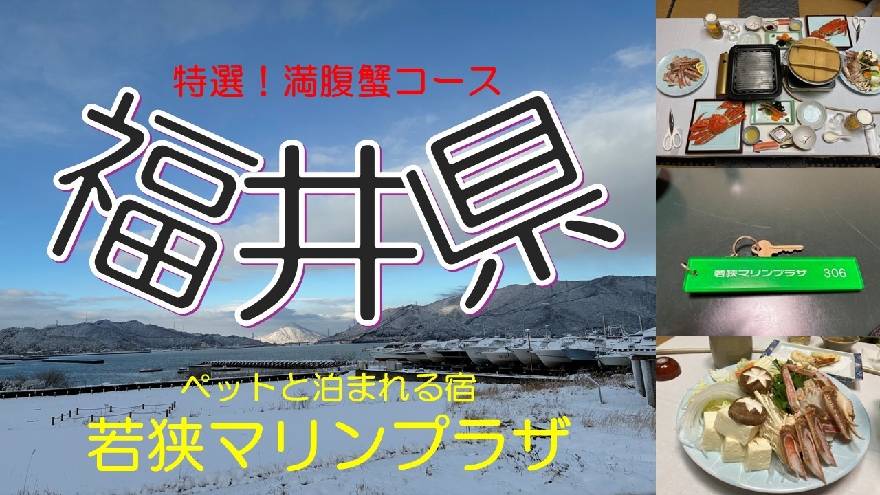 特選！満腹蟹コース【福井県】若狭マリンプラザ　ペットと泊まれるホテル