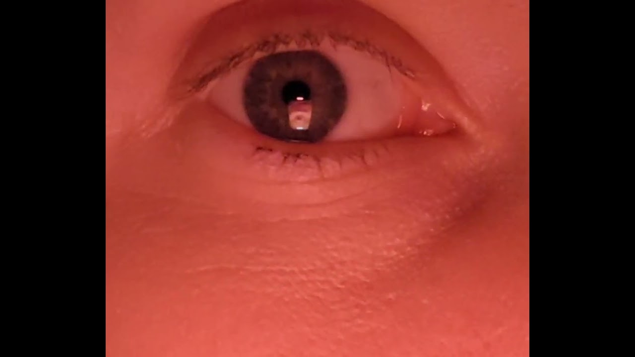 32 |  eyemarch  (2022-11-15)